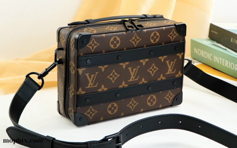 Túi đeo chéo nam Louis Vuitton (4)